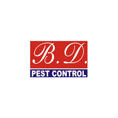 B.D. Pest Control Website Design & Digital Marketing Partner – MgiWebzone