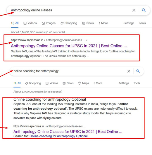 Anthropology Coaching In Delhi SEO Work Result For Sapiens IAS