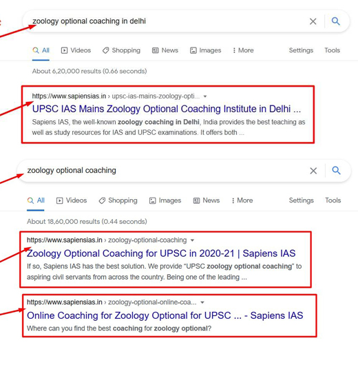 UPSC Zoology Coaching SEO Service Work Result For Sapiens IAS